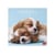 Calendrier mural 2024 Legami - 12 mois - Puppies - 30 x 29 cm