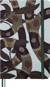 Carnet Moleskine - Vert – 13 x 21 cm – Serpent - 176 pages lignées