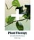 Plant Therapy - How an Indoor Green Oasis Can Improve Your Mental and Emotional Wellbeing