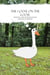 The Goose on the Loose