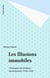 Les Illusions immobiles - Chroniques de politique internationale (1996-1998)
