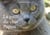 La patte du chat Papou - Moi Papou je vous raconte ma vie