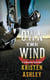Own the Wind - A Chaos Novel