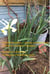 Collated Dockets ~ Spring Jumps Sockets (We're In Summer's Pockets)