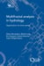 Multifractal Analysis in Hydrology - Application to Time Series