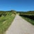 Meine Wege