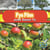 Pye Pòm / Apple Trees and The Seasons - Julie K. Lundgren