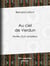 Au ciel de Verdun - Notes d'un aviateur