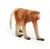 Figurine  Nasique - Schleich