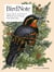 BirdNote - 100 Illustrated Bird Stories to Inspire Your Bird Watching