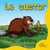 Le castor