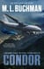 Condor: a Political Technothriller - Miranda Chase, #3