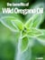 Wild Oregano Oil - How to Improve Your Health and Prevent Illnesses