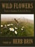Wild Flowers: From a Garden of Jewish Verse