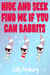 Hide and Seek Find Me If You Can Rabbits