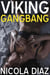 Viking Gangbang