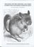 The Hare and the Tortoise and Other Stories for Partnered Paired Reading