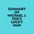 Summary of Michael J. Fox's Lucky Man