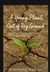 A Young Plant out of Dry Ground