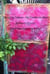 The Living Tableau - My Garden On Show