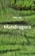 Mandragora