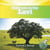 Solèy nou an bay Lavi / Our Sun Brings Life - Conrad J.Storad