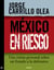 México en riesgo - Una visión personal sobre un Estado a la defensiva