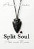 Split Soul - Love in Paris