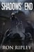 Shadows' End - Death Hunter Series, #6