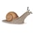Escargot - Papo