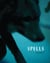 Spells - A Novel Within Photographs
