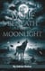 Wolf Beneath the Moonlight