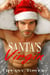 Santa's Virgin