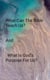 What Can The Bible Teach Us? - 1