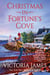Christmas in Fortune's Cove - A Novel
