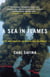 A Sea in Flames - The Deepwater Horizon Oil Blowout