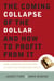 The Coming Collapse of the Dollar and How to Profit from It - Make a Fortune by Investing in Gold and Other Hard Assets
