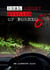 Real Ghost Stories of Borneo 6 - Real Ghost Stories of Borneo, #6