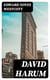David Harum - A Story of American Life