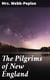 The Pilgrims of New England - A Tale of the Early American Settlers