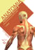 Anatomia humana básica - para estudantes na área da saúde