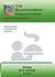 TCM - Kidney - Qi is not fixed - E252 TCM - Kidney - Qi is not fixed