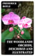 The Woodlands Orchids, Described and Illustrated - With Stories of Orchid-Collecting