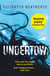 Undertow - Do you really know your husband? Submerge yourself in this chilling domestic thriller