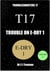Trouble on E-Dry 1 (Troubleshooters 17)