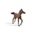 Figurine Papo - Poulain anglo-arabe