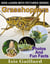 Grasshoppers Photos and Fun Facts for Kids - Kids Learn With Pictures, #135