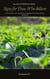 Signs for Those Who Believe: Catalog of Plants Named in the Holy Quran - Journey of Reflection Series, #2