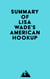 Summary of Lisa Wade's American Hookup