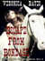 Girl, Don't Ride The White Horse, Part 3: Escape From Bondage